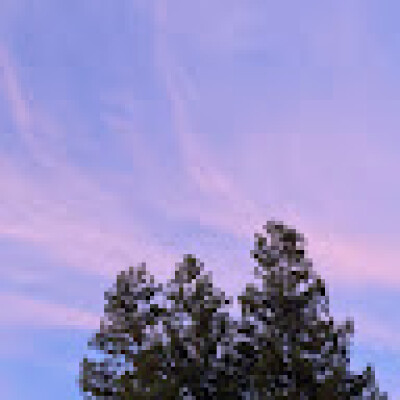 Saki zoekt een Kamer / Appartement / Huurwoning / Studio in Amsterdam