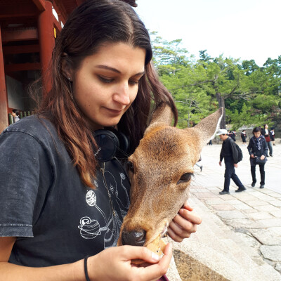 Dalia is looking for a Room / Apartment / Rental Property / Studio / HouseBoat in Amsterdam